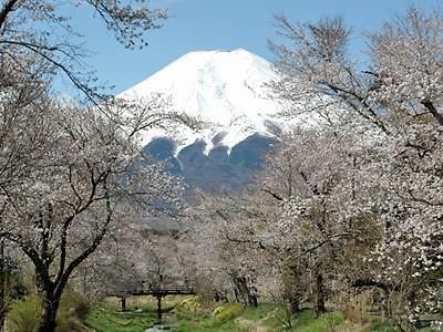 Pension Sumomo No Ki 오시노 외부 사진