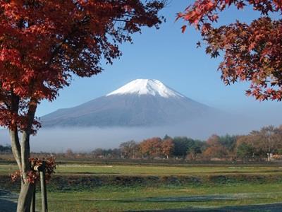 Pension Sumomo No Ki 오시노 외부 사진
